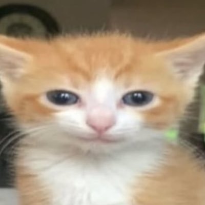 LiquidGurt's profile picture. I’m 27