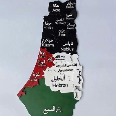 almehdimail's profile picture. ‏ابو الطيب