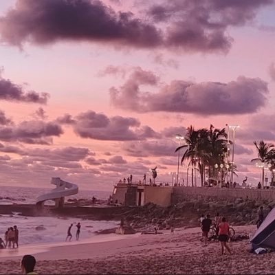 Coyotitoloco's profile picture. 