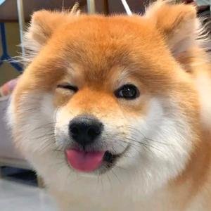 goldheim6395634's profile picture.