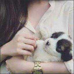 woempner5255925's profile picture.