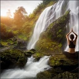 shalanda1165512's profile picture.