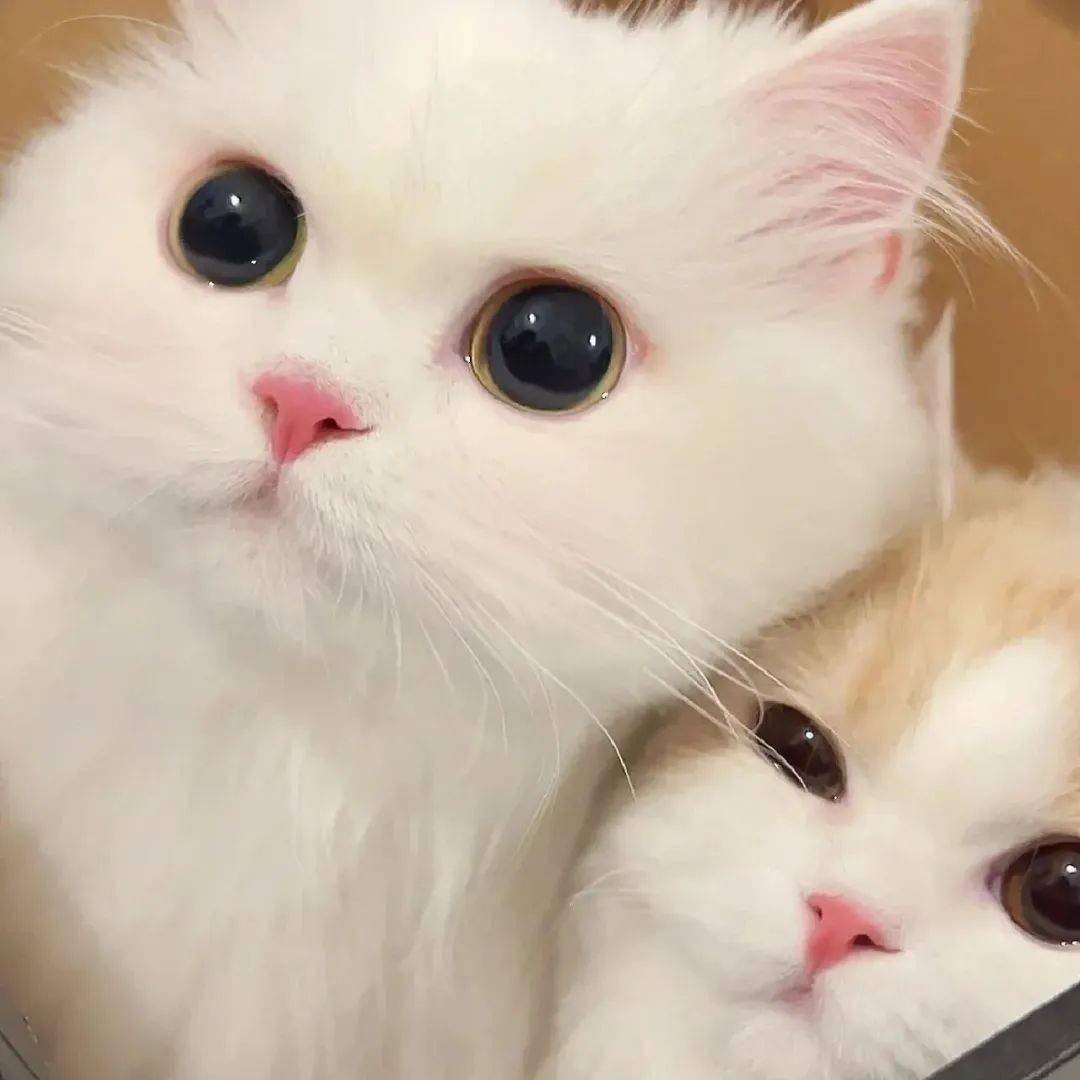 nakabayash66522's profile picture. 