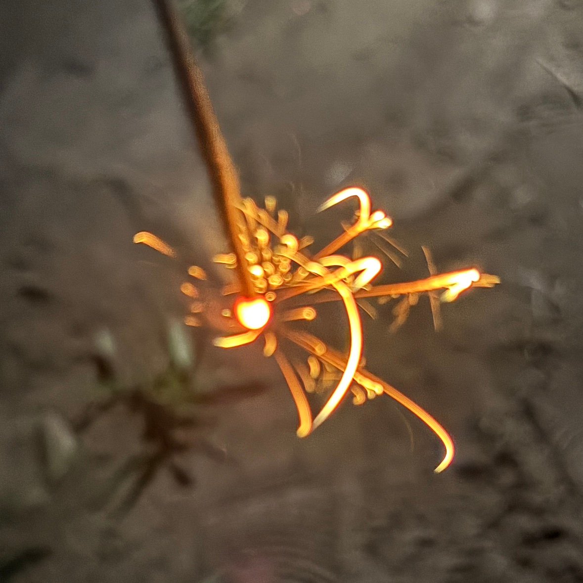 soutahd7e's profile picture. 06(07) 🏐　大一