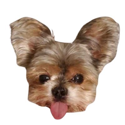 @TheGiveawayDog