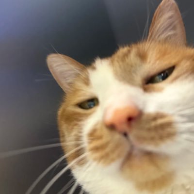 mynn_pryon's profile picture. HER , GIRL