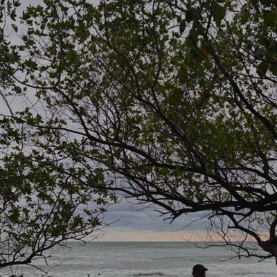 maricanaless's profile picture. 🤍