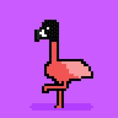 dsp111's profile picture. $ALGO Node Runner