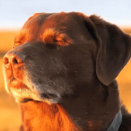 shuthosh's profile picture. 