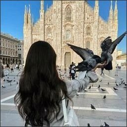 ricuccilec25136's profile picture. Like the wind dunk as pain memories were blown, but love is in imperceptible in the cold.