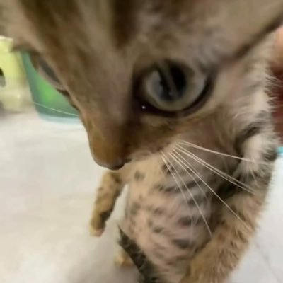 grrgrr112's profile picture. 