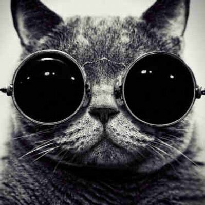 ab_feat_oshi's profile picture. モー娘。タンポポから時を経てjuice=juiceへ… 段原瑠々ちゃん推し