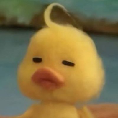 acerampee's profile picture. logged out