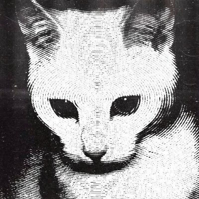 MaqboolBegum5's profile picture. Forming opinions and vomiting them onto innocent Twitter bystanders (like all of you). @ReriHoldings. @BYU