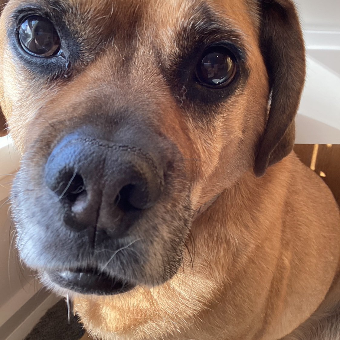 HeyYouMeWha's profile picture. 