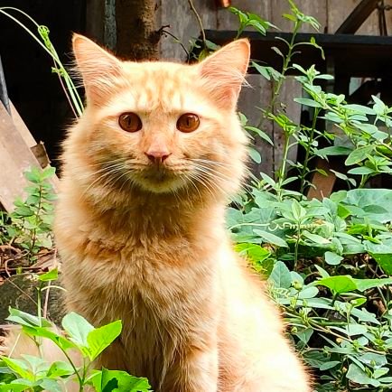 uUziiyo's profile picture. bio