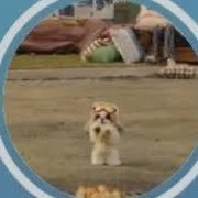 jimin859's profile picture. BTS 💜