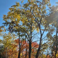 A. Koffi Jean (@otuped95785) 's Twitter Profile Photo