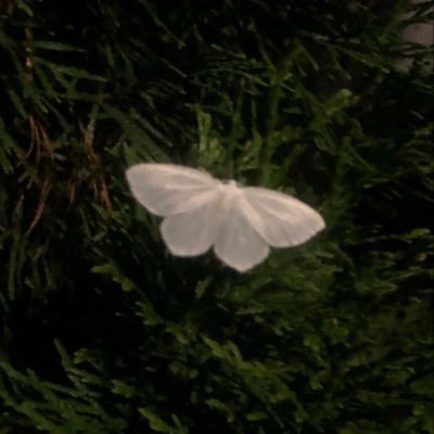 Ghu_0a's profile picture. CIS in @taibahu 👩🏻‍💻 ||  “وَكَانَ فَضْلُ اللَّهِ عَلَيْكَ عَظِيمًا” 💜