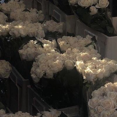 Annee_2007's profile picture. {i purple you}💜💜

BTS♡ARMY♡💜