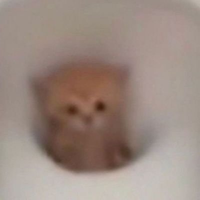 soowwhatt's profile picture. 