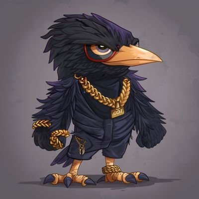 Raven_xml's profile picture.