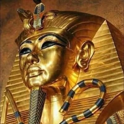 AtefOmar611239's profile picture. 