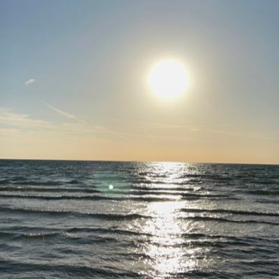 Ann1331196's profile picture. 