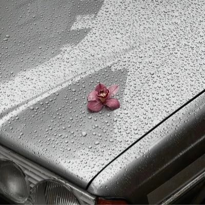 xh23_8's profile picture. 