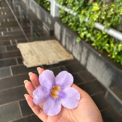 PujaMahankuda's profile picture. 