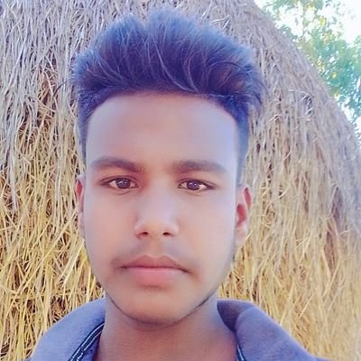 MSahaporan86704's profile picture. 