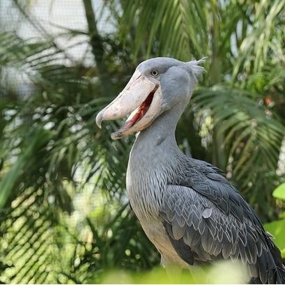 DlX6riEUDGBKb2m's profile picture. 