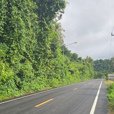 korimcrae's profile picture. 