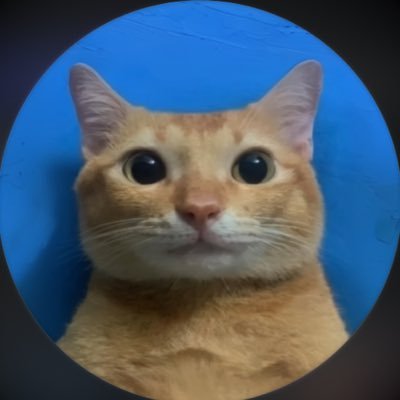 foxyfox781's profile picture. Tu crois ont fait de la drill ici. | Fondateur : @UniverbetaFR & @Airblyx