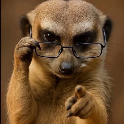 Louis1255228804's profile picture. I repost everything!
Photographer , 
Movie and music lover
Fitness