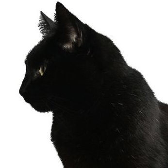 chuunipiyon's profile picture. i got social deducation games inject in my veins.
#tos2 roleshipper!!!
#milgram/#tos2/#bb27/#gnosia/vocaloids & manhwas/mangas sometimes