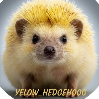Yelow_Hedgehog's profile picture. 