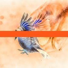 zhigeliu1's profile picture. 8年的Web3行业经验
链上热点捕捉
撸空投达人
币圈一级市场、二级市场资深玩家
Sahara #0218018
@SaharaLabsAI   
#AIforALL