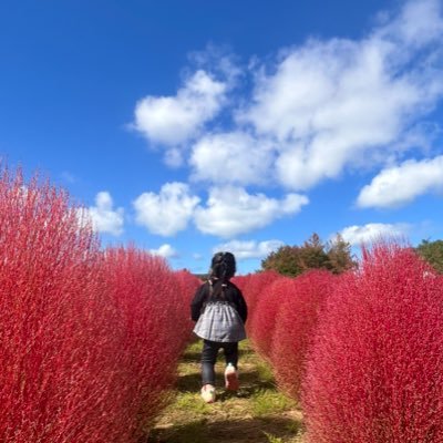 ob2494do's profile picture.
