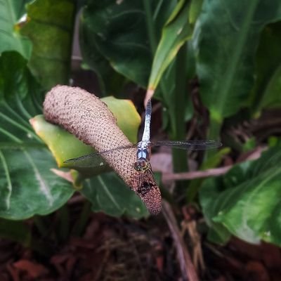 akntmbhn8888's profile picture. 