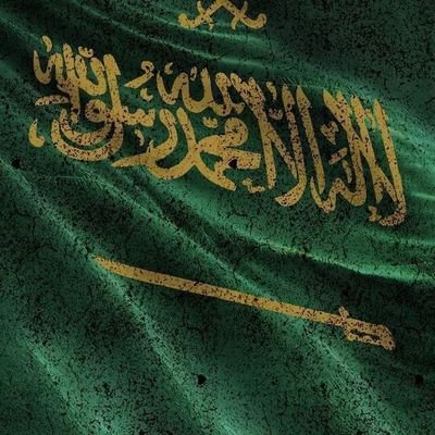 aliyppppvj's profile picture. 