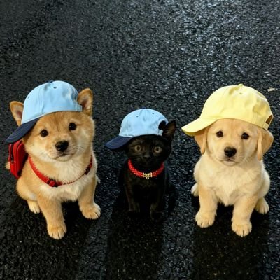 Samuel01652603's profile picture. 