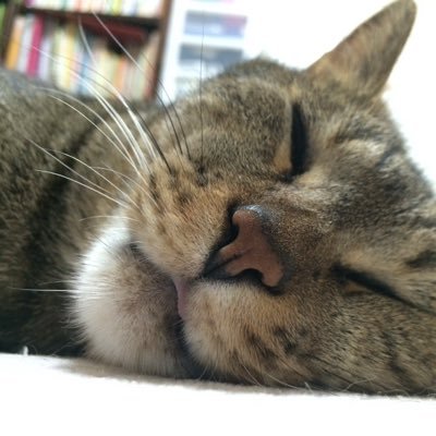 rasiku_117117's profile picture. 前向きコーチ｜”自分らしく生きる”を発信｜表向きは上手くいってる。でも心のどこかで、選択•生き方•自分の幸せに迷いがある人へ。 内側のモヤモヤを言語化して、あなたの中に眠っている『答えの種』を一緒に見つけます。 「これが私の幸せだ」と言える、あなたも周りの人も満たされる日常を伴奏したい。 ※勧誘•マルチは返しません。