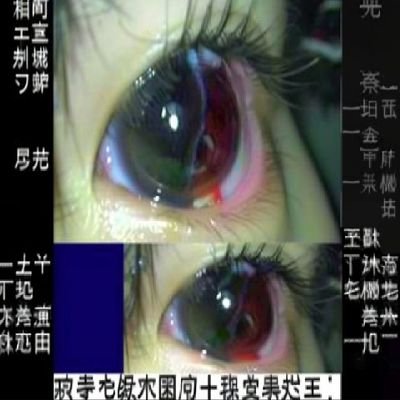 maomoxi's profile picture. larga de frescura e pega no meu pau