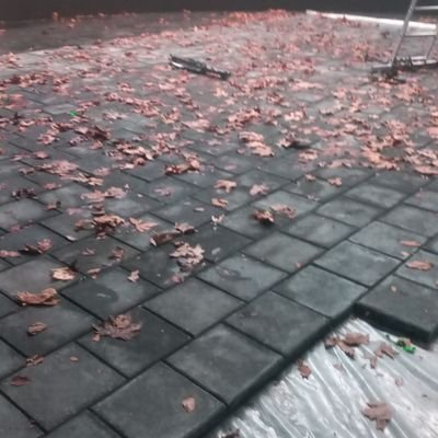 sz167212682581's profile picture. 