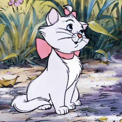 boringndalone's profile picture. 