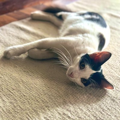 strong_grrr's profile picture. Wildflower. A free spirit traversing the universe. Here for the fight.