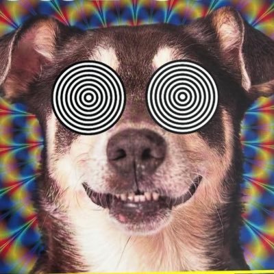 Raglanboy's profile picture. Part Time Adult - Great Beard - Meat Free @greenpeace @satanic_temple_ @TSTUKofficial Instagram : gap.between.the devils.teeth