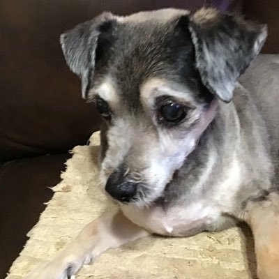 TJKirk727998761's profile picture. USMC retired, RTX retired, married to Salve; father of 3; grandparent of 4; no DMs, no crypto, no investment schemes, no fraud, did I mention no DMs