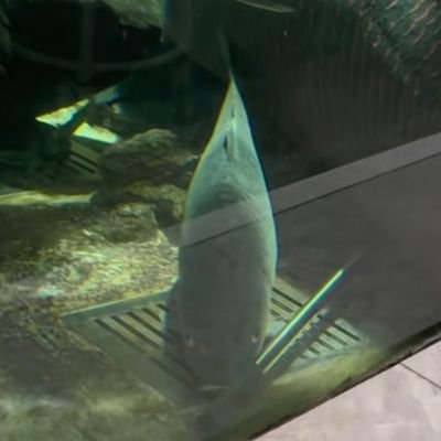 woshinidiesao's profile picture. 功夫链手